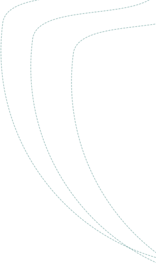 portfolio shape 1